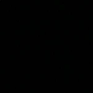 Meet your Posher, Patriciq